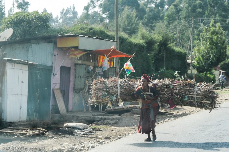 20120328_160346 Nikon D3S (1) 2x3.jpg - Women Fuelwood Carriers: Just outside of Addis Ababa, there are women who hike roughly 18 miles a day collecting wood to be sold in the market. The weight of the packs they carry can be up to 70 lbs. - close to the weight of some of the women